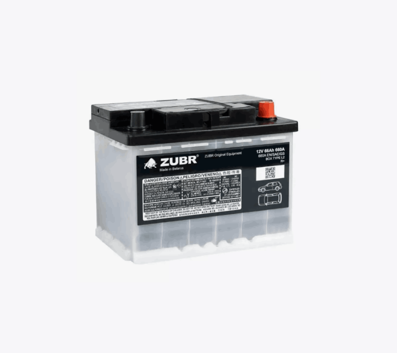 OE660_ZUBR_009025_Euro